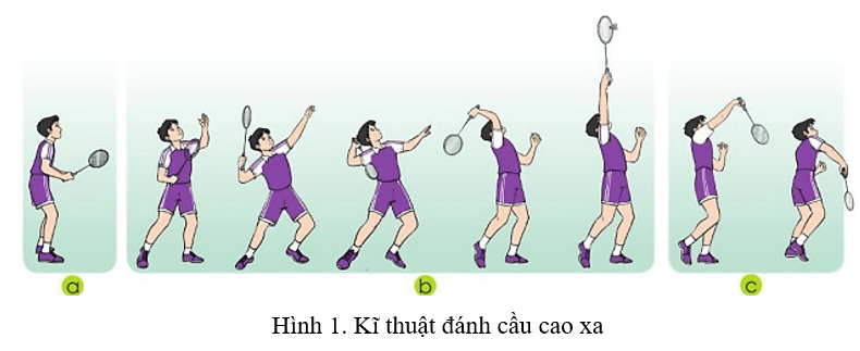 Vận dụng kĩ thuật đánh cầu cao xa vào hoạt động tập luyện hằng ngày để phát triển sức mạnh và khả năng khéo léo.