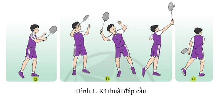 Vận dụng kĩ thuật đập cầu vào hoạt động tập luyện hằng ngày để rèn luyện sức mạnh tay