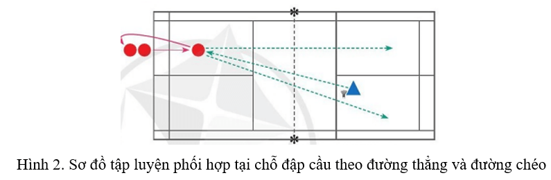 Vận dụng kĩ thuật đập cầu vào hoạt động tập luyện hằng ngày để rèn luyện sức mạnh tay