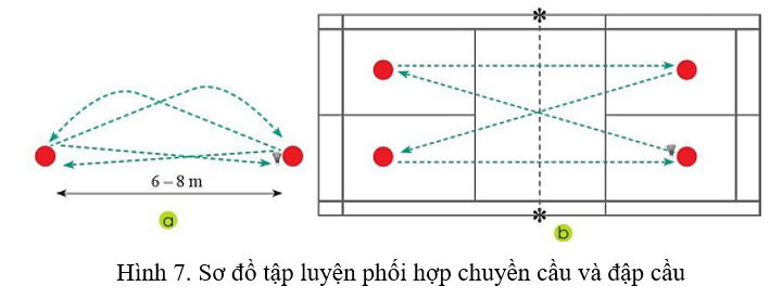 Vận dụng kĩ thuật đập cầu vào hoạt động tập luyện hằng ngày để rèn luyện sức mạnh tay