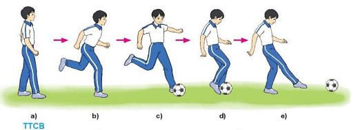 Vận dụng kĩ thuật đá bóng bằng mu giữa bàn chân để tập luyện và thi đấu