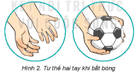 Trắc nghiệm GDTC 10 Kết nối tri thức Bài 1 (có đáp án): Kĩ thuật bắt bóng lăn sệt | Bóng đá