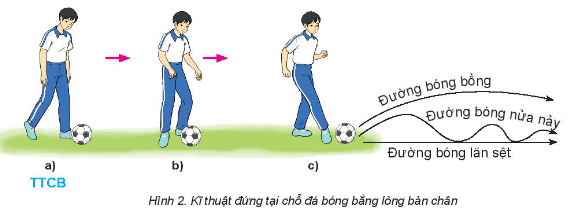 Trắc nghiệm GDTC 10 Kết nối tri thức Bài 1 (có đáp án): Kĩ thuật đá bóng bằng lòng bàn chân | Bóng đá