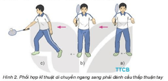 Vận dụng phối hợp kỹ thuật di chuyển ngang đánh cầu thấp trái tay và trò chơi vận động để rèn luyện