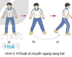 Vận dụng kỹ năng di chuyển ngang và di chuyển tiến, lùi để luyện tập vui chơi hàng ngày
