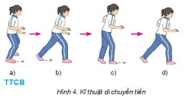 Vận dụng kỹ năng di chuyển ngang và di chuyển tiến, lùi để luyện tập vui chơi hàng ngày