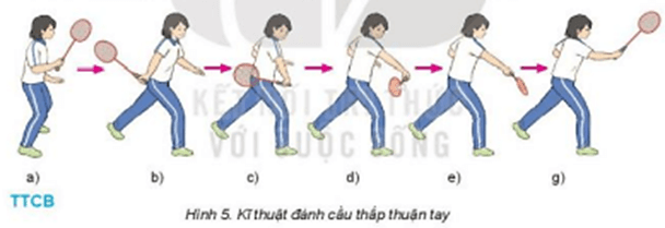 Nêu sự khác nhau giữa kỹ thuật đánh cầu thấp thuận tay và kỹ thuật đánh cầu thấp trái tay