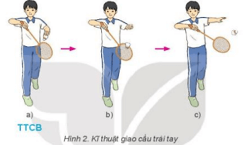 Vận dụng giao cầu trái tay và trò chơi vận động để rèn luyện sức khỏe vui chơi hàng ngày