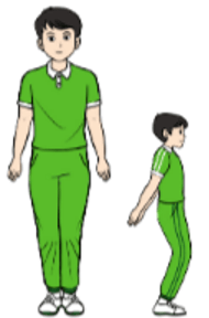 Trắc nghiệm GDTC 7 Cánh diều Bài 2 (có đáp án): Bài thể dục liên hoàn 32 nhịp (từ nhịp 17 đến nhịp 32) 