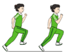 Trắc nghiệm GDTC 7 Cánh diều Bài 3 (có đáp án): Phối hợp các giai đoạn trong chạy cự li ngắn (60 m) 