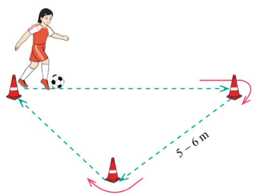 Trắc nghiệm GDTC 7 Cánh diều Bài 4 (có đáp án): Kĩ thuật dẫn bóng bằng mu giữa bàn chân 