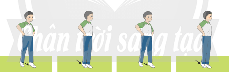 Trắc nghiệm GDTC 7 Chân trời sáng tạo Bài 1 (có đáp án): Nhóm bài tập khởi động di chuyển thẳng 