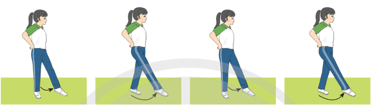 Trắc nghiệm GDTC 7 Chân trời sáng tạo Bài 1 (có đáp án): Nhóm bài tập khởi động di chuyển thẳng 