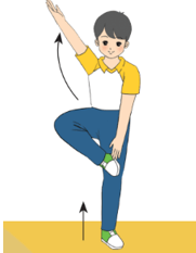 Trắc nghiệm GDTC 7 Chân trời sáng tạo Bài 2 (có đáp án): Bài thể dục liên hoàn (tiếp theo) 