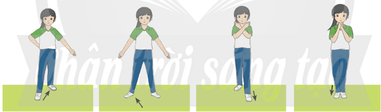 Trắc nghiệm GDTC 7 Chân trời sáng tạo Bài 2 (có đáp án): Các bước chân phối hợp thể dục Aerobic 