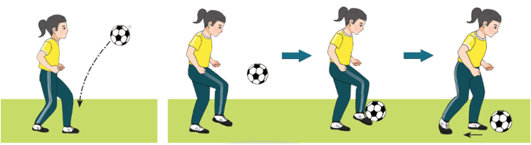 Trắc nghiệm GDTC 7 Chân trời sáng tạo Bài 3 (có đáp án): Kĩ thuật dừng bóng bằng mu giữa bàn chân 