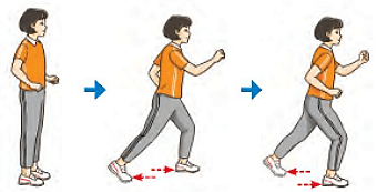 Giáo dục thể chất 7 Bài 3: Di chuyển ngang đánh cầu cao tay bên phải | GDTC 7