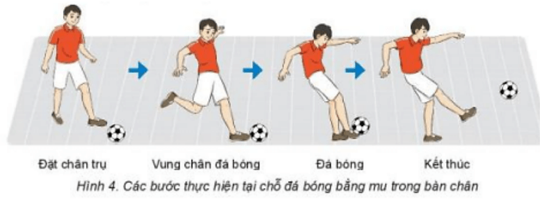 Trắc nghiệm GDTC 7 Kết nối tri thức Bài 1 (có đáp án): Kĩ thuật đá bóng bằng mu trong bàn chân