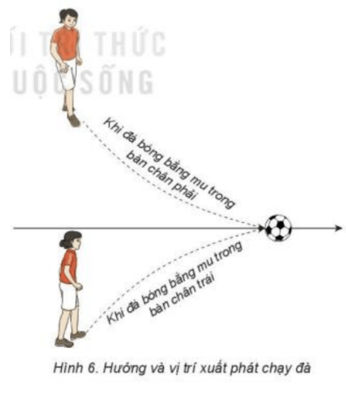 Trắc nghiệm GDTC 7 Kết nối tri thức Bài 1 (có đáp án): Kĩ thuật đá bóng bằng mu trong bàn chân