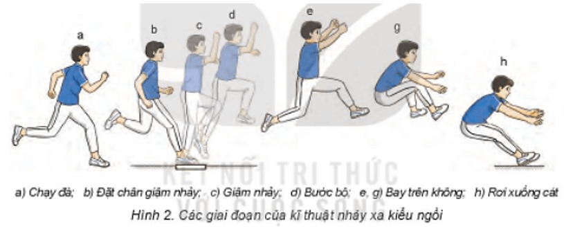 Trắc nghiệm GDTC 7 Kết nối tri thức Bài 1 (có đáp án): Kĩ thuật giậm nhảy và bước bộ