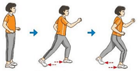 Trắc nghiệm GDTC 7 Kết nối tri thức Bài 3 (có đáp án): Di chuyển ngang đánh cầu cao tay bên phải