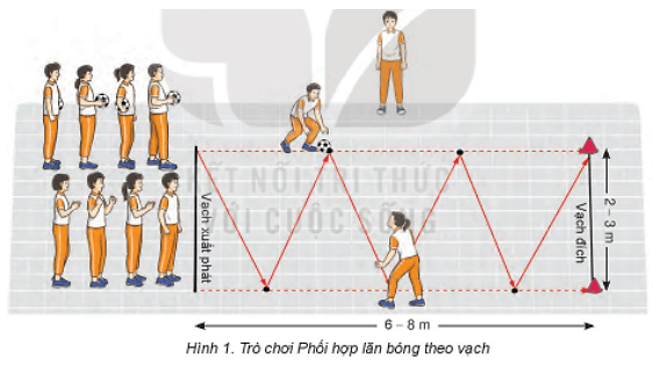 Trắc nghiệm GDTC 7 Kết nối tri thức Bài 3 (có đáp án): Phối hợp các giai đoạn chạy cự li ngắn (60m)