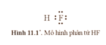Mỗi nguyên tử trong phân tử HF (Hình 11.1) có bao nhiêu electron chung