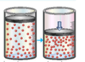 Đề kiểm tra Hóa học 10 Cánh diều Chủ đề 6 (có lời giải)