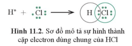 Lý thuyết Hóa học 10 Cánh diều Bài 11: Liên kết cộng hóa trị