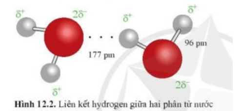 Lý thuyết Hóa học 10 Cánh diều Bài 12: Liên kết hydrogen và tương tác Van Der Waals
