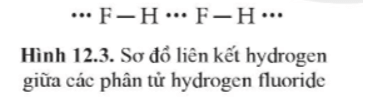 Lý thuyết Hóa học 10 Cánh diều Bài 12: Liên kết hydrogen và tương tác Van Der Waals