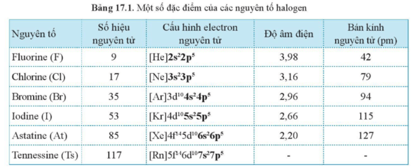 Lý thuyết Hóa học 10 Cánh diều Bài 17: Nguyên tố và đơn chất halogen