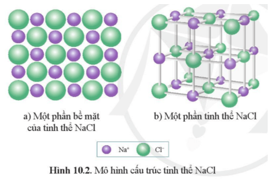 Từ mô hình NaCl, hãy cho biết xung quanh mỗi ion Na+ có bao nhiêu ion Cl-