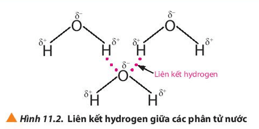 Hợp chất nào dưới đây tạo được liên kết hydrogen liên phân tử (ảnh 1)