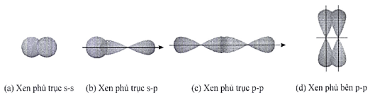 Bài tập ôn tập Hóa học 10 Chân trời sáng tạo Chương 3 (có đúng sai, trả lời ngắn)