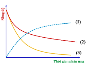Bài tập ôn tập Hóa học 10 Chân trời sáng tạo Chương 6 (có đúng sai, trả lời ngắn)