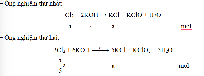 Bài tập ôn tập Hóa học 10 Chân trời sáng tạo Chương 7 (có đúng sai, trả lời ngắn)