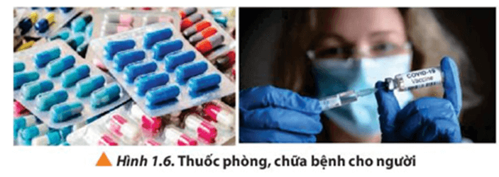 Quan sát các Hình từ 1.4 đến 1.10, cho biết hóa học có ứng dụng