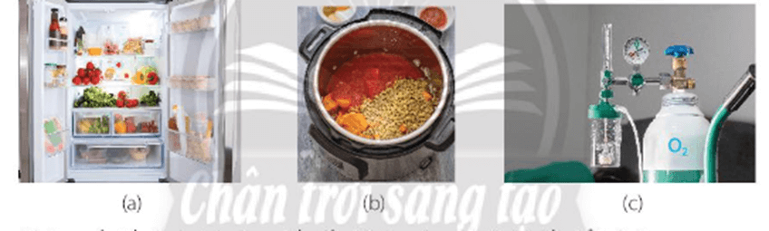 Thực phẩm bảo quản trong tủ lạnh sẽ giữ được lâu hơn