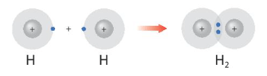 Hình 8.1 giải thích sự hình thành phân tử hydrogen (H2) và fluorine (F2) (ảnh 1)