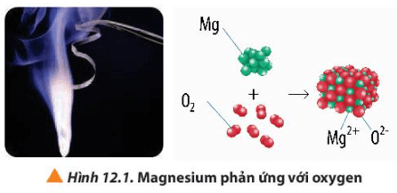 Quan sát Hình 12.1, hãy viết quá trình nhường và nhận electron trong phản ứng giữa magnesium và oxygen