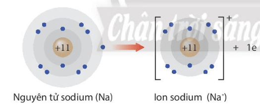 Giải thích sự hình thành ion Na+ và ion F- (ảnh 1)