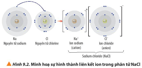 Quan sát Hình 9.2, hãy trình bày sự hình thành liên kết ion trong phân tử NaCl (ảnh 1)