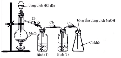 Đề kiểm tra Hóa học 10 Chân trời sáng tạo Chương 7 (có lời giải)