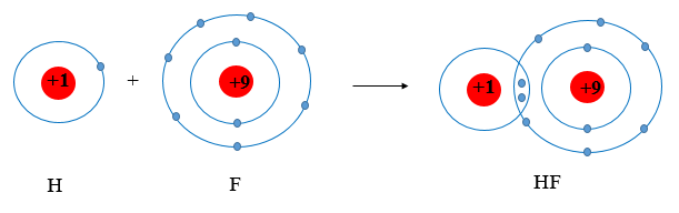 Nguyên tử của các nguyên tố hydrogen và fluorine có xu hướng cho đi (ảnh 1)