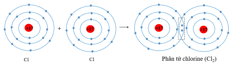 Trình bày sự hình thành liên kết cộng hóa trị trong phân tử Cl2 (ảnh 1)
