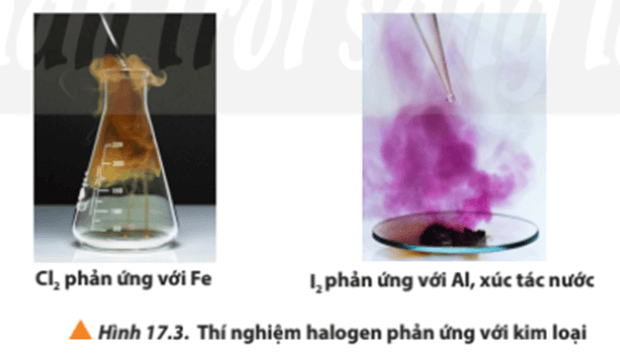 Lý thuyết Hóa 10 Chân trời sáng tạo Bài 17: Tính chất vật lí và hóa học các đơn chất nhóm VIIA