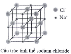 Đề kiểm tra Hóa học 10 Kết nối tri thức Chương 3 (có lời giải)