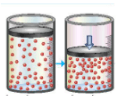 Đề kiểm tra Hóa học 10 Kết nối tri thức Chương 6 (có lời giải)