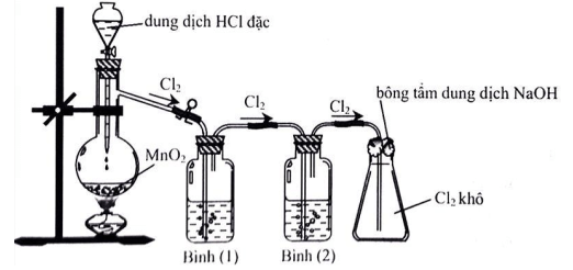Đề kiểm tra Hóa học 10 Kết nối tri thức Chương 7 (có lời giải)